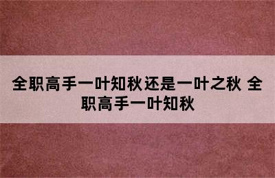 全职高手一叶知秋还是一叶之秋 全职高手一叶知秋